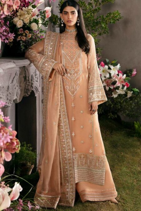 Afrozeh La Fuchsia 2023 Pakistani Suits in India