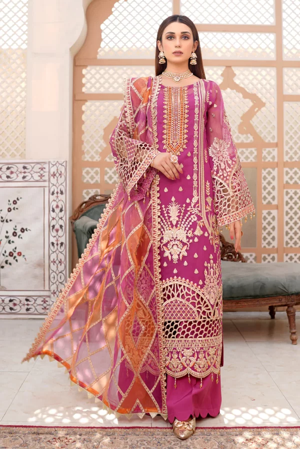 Model wearing Lemilsa Collection by Maryam Original Pakistani suits in india